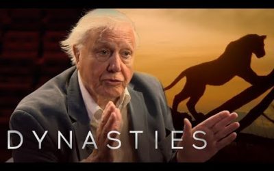 David Attenborough On Dynasties | BBC Earth