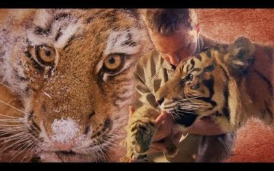 When Tigers Meet Humans | BBC Earth