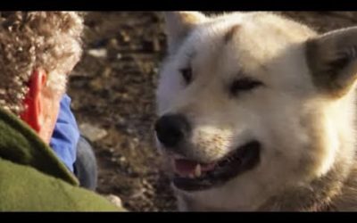 The Dogs Protecting Humans and Polar Bears | BBC Earth