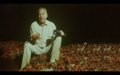 120 Million Crabs Spawning On One Beach | Trials Of Life | BBC Earth