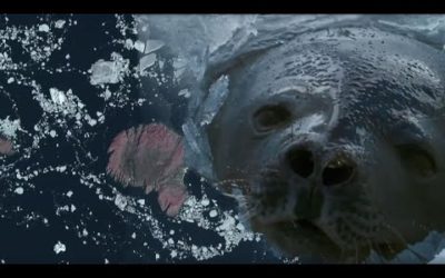 Filming Animal From Space Leads to Incredible Discovery | Earth From Space | BBC Earth