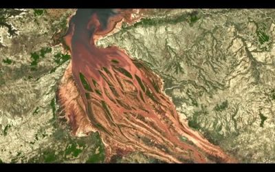 How Deforestation Looks From Space | Earth From Space | BBC Earth