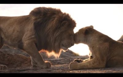 The Lion King | Protect the Pride