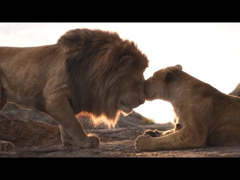 The Lion King | Protect the Pride