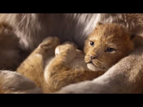 The Lion King | Retelling the Story