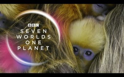 Seven Worlds, One Planet: Extended Trailer (ft Sia and Hans Zimmer) | New David Attenborough Series