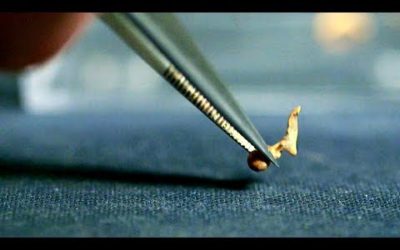 The Smallest Bones in our Body | Secrets of Bones | BBC Earth
