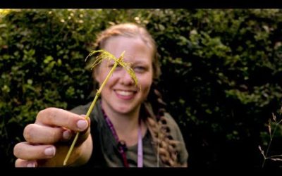 The Evolutionary History of Plants | From Plant To Planet with Nellie Nilsen | BBC Earth