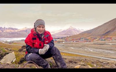 Life, Death and Succession | From Plant to Planet with Nellie Nilsen | BBC Earth
