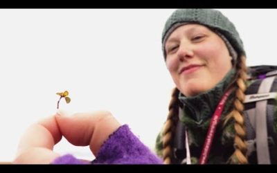 Meet the World’s Tiniest Trees! | From Plant to Planet with Nellie Nilsen | BBC Earth