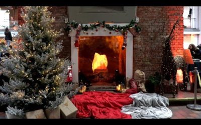 14 Tips On How To Have A Sustainable Christmas | BBC Earth