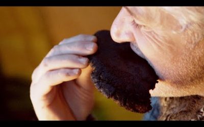 TV Presenter Eats Reindeer Blood Pancakes | Reindeer Family and Me | BBC Earth