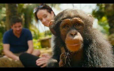 Undercover Team Rescue a Baby Chimp From The Pet Trade | BBC Earth
