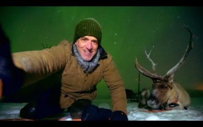 Reindeer Selfies with the Northern Lights! | Reindeer Family and Me | BBC Earth