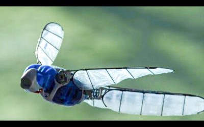 Incredible Robotic Dragonfly In Slow Motion | BBC Earth