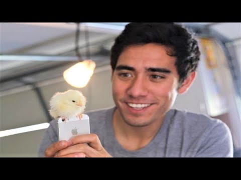 Top Incredible Zach King Magic 2020