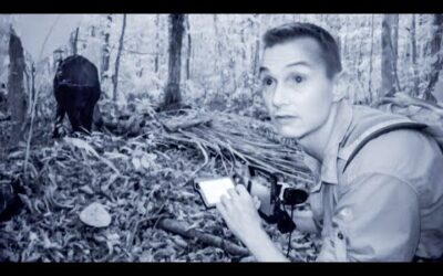 Wild Tapir Caught On Camera | The Dark: Nature’s Nighttime World | BBC Earth