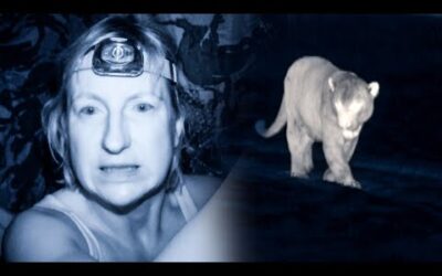 Jaguar Approaches Lone Camerawoman | The Dark:  Nature’s Nighttime World | BBC Earth