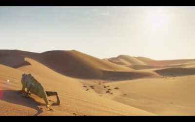 Decompress In The Dunes – Change | Mindful Escapes |  BBC Earth