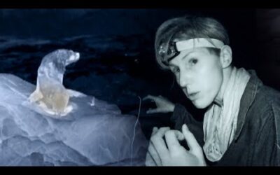 Vampire Bats feeding on Sea Lions | The Dark:  Nature’s Nighttime World | BBC Earth