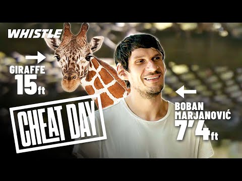 Boban’s HILARIOUS Experience At The Zoo ?