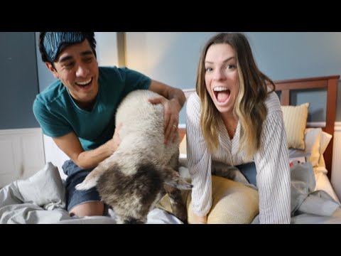 Zach King Reacts To Your Tricks | MAGIC OF THE MONTH