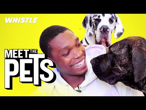 San Antonio Spurs’ Lonnie Walker Is The NBA’s #1 Dog Dad ?