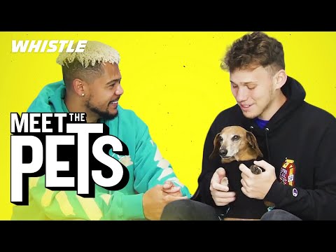 2HYPE’s Jesser Has The World’s Most ADORABLE Dog!