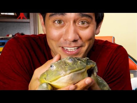 New Best Magic Show for Happy New Year 2020 and Merry Christmas 2020 – Zach King Vines