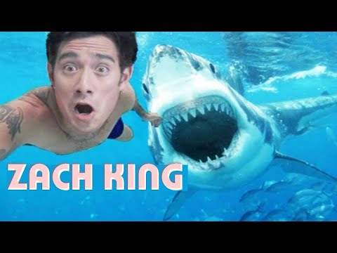 TOP NEW BEST ZACH KING MAGIC TRICK 2020 | INCREDIBLE TRY NOT TO LAUGH MAGIC VINES