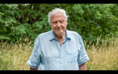 A Message From Sir David Attenborough | A Perfect Planet | BBC Earth