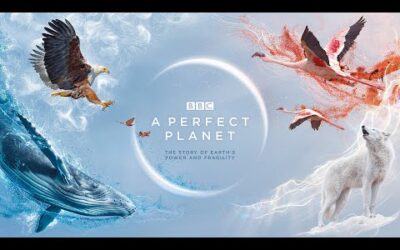 A Perfect Planet: Pearl Modiadie In Conversation With The Filmmakers | BBC Earth