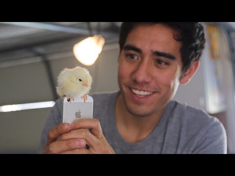 Best Magic Show Ever 2021 | #102 Most Amazing Magic Trick Ever of Zach King Collection