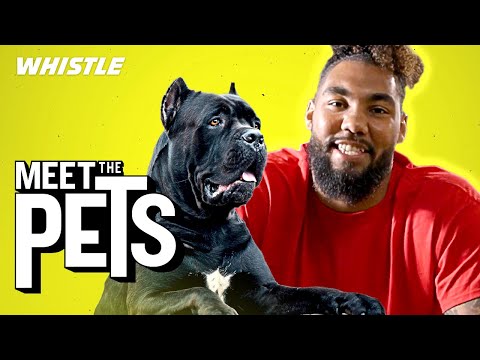 Pro Bowler Leonard Williams Is A GIANT Dog Lover!