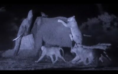Filming Lions Hunting Elephants | Wild Stories | BBC Earth