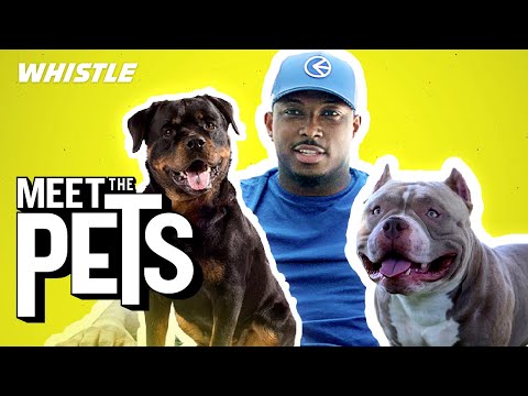 LeSean McCoy Talks SUPER BOWLS & Shows Off His MASSIVE Dogs!