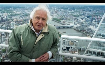 Cities That Are Saving The Planet | Planet Earth II | BBC Earth
