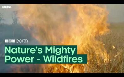 Nature’s Mighty Power: Wildfires | BBC Earth