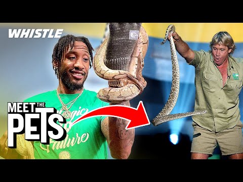 How Robert Covington Became The NBA’s Steve Irwin 👀