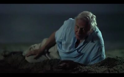 Sir David Attenborough being iconic for 17 minutes