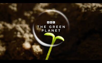 The Green Planet | Official Trailer | New Attenborough Series | BBC Earth