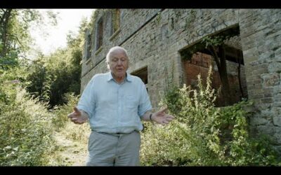 When Plants Take Over with Sir David Attenborough | The Green Planet |BBC Earth