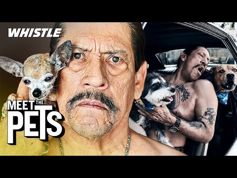 Acting LEGEND Danny Trejo Is OBSESSED With His Car Collection & Dogs! 🙌