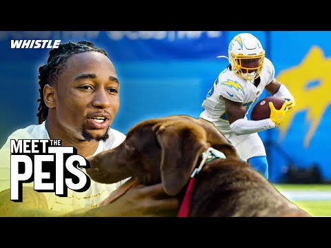 NFL Player Reveals How His DOG Helped Him Recover From Injury 🤯