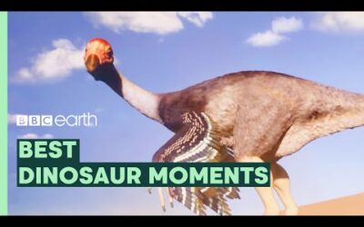 Dinosaurs: Just Big Chickens? | Best of Dinosaurs | BBC Earth