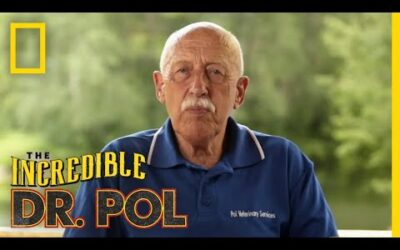 LIVE: Celebrate the Incredible Dr. Pol with Another Heartwarming Animal Filled Season | Nat Geo WILD