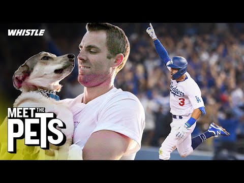 LA Dodgers World Series HERO Talks Walk-Offs & Dog Walks! 🙌 | Chris Taylor