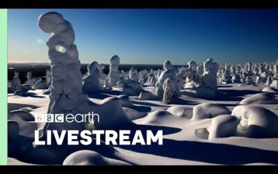 🔴 LIVE: TWO HOURS of Beautiful Scenes from Nature I The Green Planet I BBC Earth