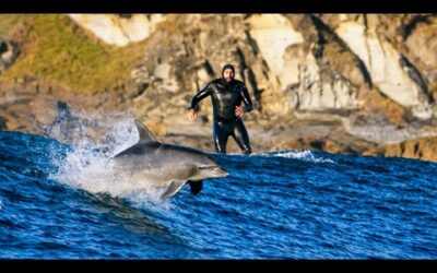 Risking Treacherous Seas To Get The Shot | Behind The Scenes | Blue Planet II | BBC Earth