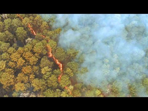 Climate Refugees Seek Shelter in a Mountain Refuge I Our Frozen Planet | BBC Earth